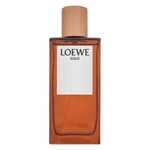 Loewe Solo Loewe Pour Homme woda toaletowa dla mężczyzn 100 ml