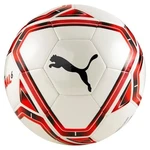 teamFINAL 21.6 MS Ball