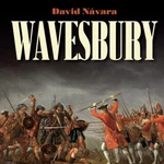 Wavesbury - David Návara - audiokniha
