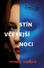 Stín včerejší noci - Wendy Walkerová - e-kniha