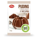 AMYLON Puding čokoládový 40 g BIO