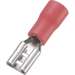 TRU COMPONENTS 745122 faston zásuvka  Šírka zástrčky: 4.8 mm Hrúbka konektora: 0.5 mm 180 ° čiastočne izolované červená