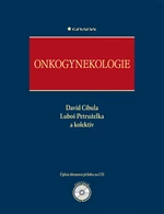 Onkogynekologie, Cibula David