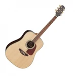 Takamine Gd71-nat
