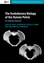 The Evolutionary Biology of the Human Pelvis