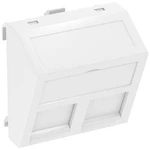 Kryt nosič datové techniky (š x v x h) 45 x 45 x 26 mm OBO Bettermann 6119300 1 ks šedá