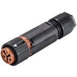RST® MINI kabelová zásuvka RSTI162/3 Wieland 46.031.4551.4, kulatý faston, Provedení konektoru: spojka, rovná 2, 1 ks