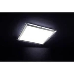 LED koupelnové stropní světlo LeuchtenDirekt Labol 14267-55, 12 W, N/A, ocelová