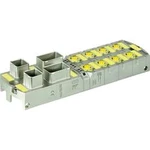 Aktivní box senzor/aktor Murr Elektronik 55562, 1 ks