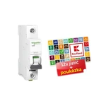 Jistič Schneider Electric Acti9 iC60N 1P 16A B balení 12ks + poukázka A9F03116P