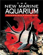 The New Marine Aquarium