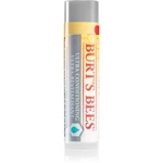 Burt’s Bees Lip Care balzám pro suché rty 4.25 g