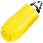 Laboratorní konektor Ø 4 mm MultiContact 66.9684-24, zásuvka vestavná vertikální, žlutá