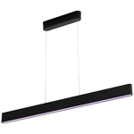 Philips Lighting Hue LED závesná lampa 871951434336800  Hue White & Col. Amb. Ensis pevne zabudované LED osvetlenie 79 W