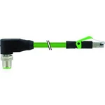 Upravený zástrčkový konektor pro senzory - aktory Murr Elektronik 7000-44761-7960500 5.00 m, 1 ks