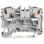 Průchodková svorka WAGO 2204-1201, pružinové připojení , 6.20 mm, šedá, 50 ks