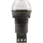 Signální osvětlení LED Auer Signalgeräte IBS, čirá, trvalé světlo, blikající světlo, 230 V/AC