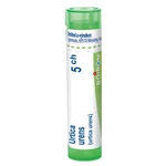 BOIRON Urtica urens CH5 4 g