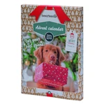 BEEZTEES Adventní kalendář pro psy, poškozený obal