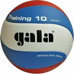Gala Training 10 Hallenvolleyball