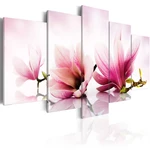 Obraz - Magnolias: pink flowers