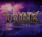 Trine Enchanted Edition Steam CD Key