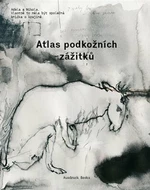 Atlas podkožních zážitků / K problematice viděného - Milena Bartlová, Nikola Čulík, Adéla Součková