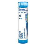 BOIRON Agraphis nutans CH9 4 g