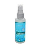 SALOOS Aroma airspray Eukalyptus