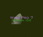 Wing Pro 7 - Commercial Use Upgrade DLC Steam CD Key