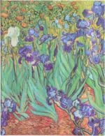 Zápisník Paperblanks - Van Gogh’s Irises - Ultra linkovaný