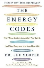 The Energy Codes : The 7-Step System to Awaken Your Spirit, Heal Your Body, and Live Your Best Life - Morter Sue