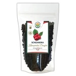 SALVIA PARADISE Schizandra klanopraška plod Dongbei 200 g