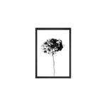 Plakat 24x29 cm Velvet Flower – Tablo Center