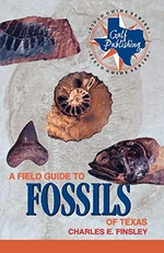 A Field Guide to Fossils of Texas