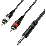 Paccs  audio káblový adaptér [2x cinch zástrčka - 1x jack zástrčka 6,35 mm] 5.00 m čierna