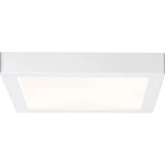 Paulmann Lunar 706.46 LED panel   17 W teplá biela biela (matná)