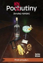 Pohnutiny (krutej román) - Darina Ničová