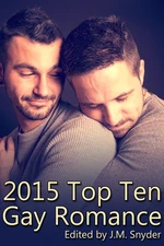 2015 Top Ten Gay Romance