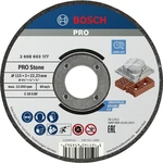 Bosch Accessories 2608603177 2608603177 rezný kotúč rovný  115 mm 22.23 mm 1 ks