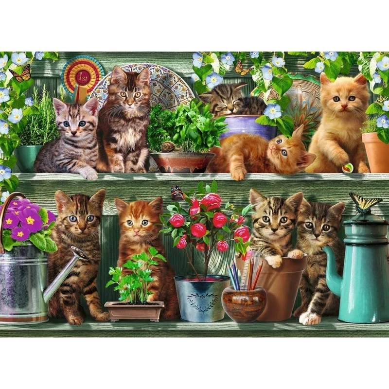 Ravensburger puzzle Kočky na knihovně 500 dílků